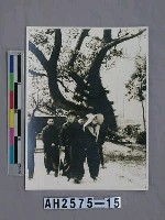 藏品(故總統蔣公生活照片：蔣中正偕夫人、長公子至奉化故鄉)的圖片